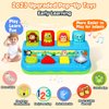 AINOI Preschool Early Development Cause and Effect Pop Up Toys, Light Musical Baby Infant Toys 6 to 18 Months, Kids Toddler Learning Toys for 1-3 Years Old Boys Girls Gifts