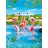 Playmobil Flock of Flamingos Building Kit