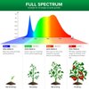 SANSI 200W Equivalent LED Grow Light Bulb, BR30 24W Full Spectrum Grow Bulb with 120° Wide Beam Angle for Indoor Plants, 4000K Daylight White Plant Lights