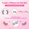 FindLove 2 Pairs Magnetic Lashes with Applicator Short Waterproof Magnetic Eyelashes Kit Natural Look Easy to Wear(XZ)