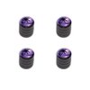Purple Beach Sunset - Ocean Palm Tree Vacation Paradise Tire Rim Wheel Aluminum Valve Stem Caps - Black Color