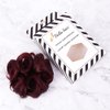 Bella Hair 100% Human Hair Scrunchies Messy Bun Hair Piece for Women Wavy Curly Up-Do Chignon Extensions (#99J Red Wine/#118 Burgundy)