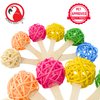 Bonka Bird Toys 2642 Pk6 Vine Lollipop Natural Chew Foot Talon Parrot Cage Toys, Cockatiel, Conure, Ringnecks, and Similar Breed Sizes