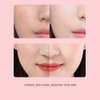 VENZEN Pre-Makeup Natural Foundation Primer Anti-aging Rosa Rugosa Camellia Sinensis Natural Effect 30g