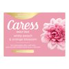 Caress Beauty Bar Soap For Noticeably Silky Soft Skin Daily Silk Extract and Floral Oil Essence 3.15 oz 3 Bars