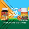 Natures Plus Animal Parade Sugar-Free Children's Vitamin D3-500 IU - Black Cherry Flavor - 90 Chewable Animal Shaped Tablets - Bone Health & Immune System Support - 90 Servings