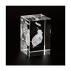 Ultrassist 3D Human Heart Crystal Model, Laser Etched Anatomical Model for Home and Office Decoration, Cardiology Gifts