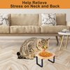 Petmolico Raised Cat Bowls, Elevated Anti Vomiting Cat Feeders Stainless Steel Bowls with Metal Stand for Cats Puppy Set of 3
