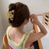Yellow Hair Clip Headdress Fashion Hollow Shark Clip Cute Cheese Acetate Hair Claw Party for Beauty and Personal Care