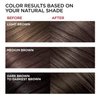 Dark Brown Hair Dye Shampoo for Gray Hair, Instant Brown Hair Color Shampoo for Men & Women, Herbal Brown Hair Dye Shampoo 3 in 1 for 100% Gray Coverage in Minutes 500ml
