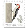 USPS Forever Stamp Sheets Featuring Birds (2 Sheets, Birds in Winter)