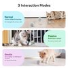 Cheerble Smart Interactive Cat Toy, Automatic Moving Bouncing Rolling Ball for Indoor Cat Kitten, Peppy Pet Ball with Lights and Bell, Grey