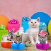 Teling 9 Pcs Cat Birthday Party Decorations Cat Themed Honeycomb Centerpieces Cats Party Supplies Cat Party Cake for Kids Baby Shower Birthday Supplies