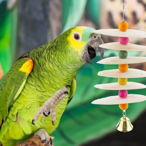 DQITJ Bird Cuttlebone Chew Toy, Natural Bird Calcium Cuddle Bone for Parrot Cockatiel Budgie Conure Sharp Beaks (6 Pcs in a Bunch)