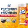 Lysol Disinfectant Wipes, Multi-Surface Antibacterial Cleaning Wipes, for Disinfecting and Cleaning, Mango and Hibiscus Scent, 35ct