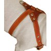 Genuine Leather Dog Harness, Medium. 25.5"-29" Chest size, 1" Wide, Amstaff, Pitbull