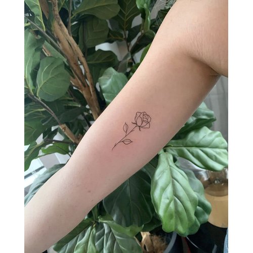 5X2Y Tattoo Tech, Long Lasting Temporary Tattoos, Last 1-2 Weeks, Waterproof, Semi Permanent Tattoo, Realistic look, No Adhesive, No reflection (Two Rose)