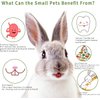 Petawi 70Pcs Timothy Hay Sticks Rabbit Toys, Chinchilla Guinea Pig Bunny Chew Toys Sticks, Hamster Treats Chews Toys for Teeth Bunny Chinchilla Guinea Pig Hamster Small Rodents