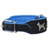 Real Leather Soft Leather Padded Dog Collar Bull Terrier 1.75" Wide. (13"-15.25" Neck, Black/Blue)