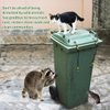 Trash Can Lid Lock,Trash Can Locks for Animals Stop from Rummaging Metal Universal Lid Lock for Outdoor Garbage Cans-Durable Rubber Coated Braided Wire Rope(2 Pack)…