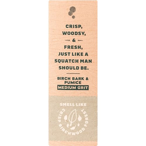 DR SQUATCH All Natural Bar Soap for Men with Medium Grit - Birchwood Breeze 5 Ounce (Pack of 1)