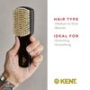 Kent OE1 Boar Bristle Club Brush, Travel Size Natural Boar Bristle Hair Brush for Men Wave Brush for Hair and Beard, Ebony Wood Finest Mens Kent Brush