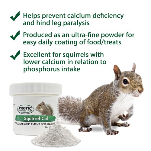 Squirrel-Cal 3.5 oz. - Ultra-fine Powdered Calcium Supplement - for Pet Squirrels