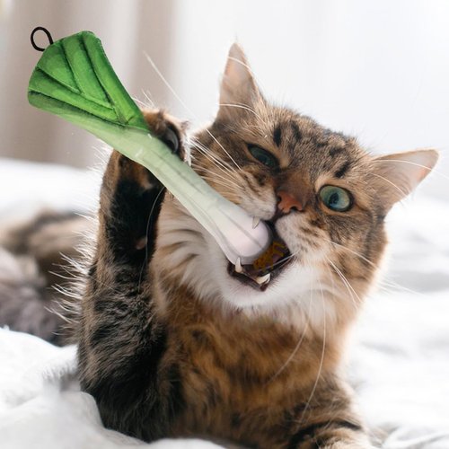 Apetpup Catnip Toy, Chew Bite Resistant Toys for Cats,Cat Toys for Indoor Cats, Interactive Cat Toy, Cat Chew Toy with Catnip, Fish Food Catnip Toy Set of 3 (A)