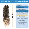 Silike 10packs Yanky Twist Crochet Braids Hair Extensions(T27, 14)