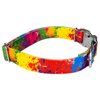 Country Brook Petz - Paint Splatter Premium Dog Collar - Groovy Collection with 12 Far Out Designs (1 Inch, Medium)