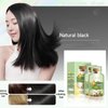 Botanical Bubble Hair Dye - Natural Plant Formula, Chestnut Brown, 20ml, 10 Packs/Box