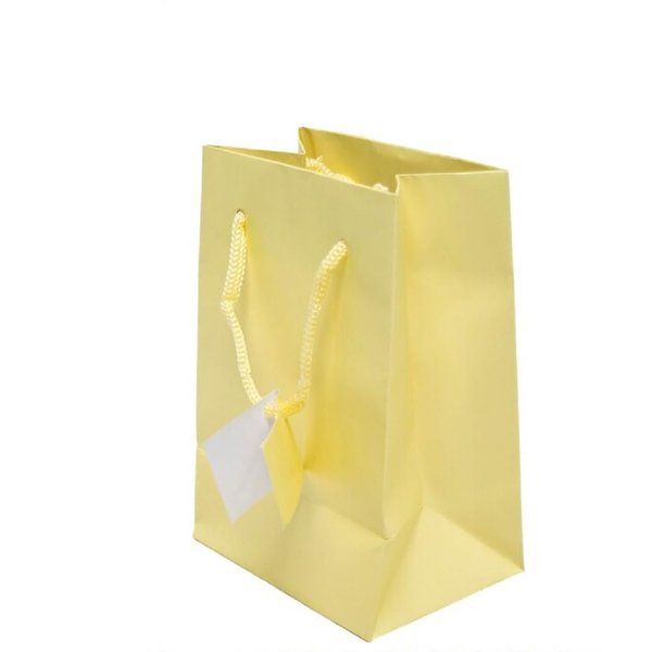 Novel Box Ivory Gift Bags with Handles 10 Pack Small Paper Bags - Shopping Bags Bulk Gift Bags Business, Shopping, Birthday Paper Shopping Bags - Shopping Bags for Groceries