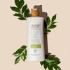 Simply Body Wash for Sensitive Skin | Green Tea + Cucumber + Aloe Vera | 25 oz