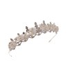 Women's Tiara - Crown for Henna Wedding Party | Glitter Hair Accessories for Bridal Birthday Pageant Prom Halloween Cos-play Costume Christmas Party, Princess Crowns | Crystal Glass Beads - Pearl