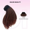 Curly Hair Extensions, OiMiGO Kinky Curly Clip in Extensions 3C 4A Ombre Black to Medium Auburn Human Hair Clip ins Extension for Black Women 120g 7 Pieces 18 Inch Curly Remy Hair Clip on Extensions