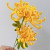 pson 100PCS 11.8 Inch Yellow Pipe Cleaners Chenille Stems, Art and Craft Thick Fuzzy Wire