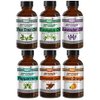 Top Essential Oil Gift Set - Best 6 Aromatherapy Oil - Eucalyptus, Lavender, Tea Tree, Peppermint, Orange, Cinnamon - Therapeutic Grade and Premium Quality - 1 oz Each by Sponix