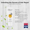 Hairgurt Intense Repair Yogurt Deep Conditioner - Almond-Honey - Natural Hair Care, Hair Products for Dry, Damaged, Frizzy Hair & Hair Growth - 237 ml