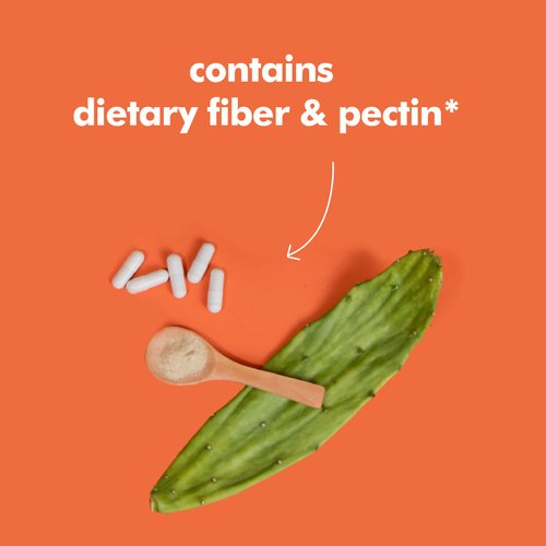 Santo Remedio Nopal, Sugar and Gluten Free Dietary Supplement, Prickly Pear Cactus Dietary Supplement, 700 mg, 180 Capsules, 90 Servings Per Container