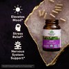 ORGANIC INDIA Joy Herbal Supplement - Immune Support, Promotes Memory & Concentration, Vegan, Gluten-Free, Kosher, USDA Certified Organic, Non-GMO, Calming - 90 Capsules