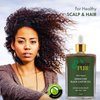 Emily's Pure Premium Jamaican Black Castor Oil 3.4oz | Hair Growth Oil | Skin Moisturizer
