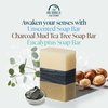 The Bubble Factory Handmade Natural Bath & Body Soap Bar, Vegan, All-Natural, Palm Oil Free, Made in USA, Shea Butter + Essential Oils, Eucalyptus/Charcoal Mud Tea Tree/Unscented, 3 Bars