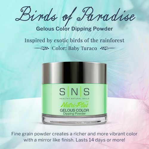 SNS Nail Dip Powder, Gelous Color Dipping Powder - Baby Turaco (Green/Mint, Seafoam, Cream) - Long-Lasting Dip Nail Color Lasts up to 14 days - Low-Odor & No UV Lamp Required - 1 Oz