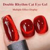 Double Rhythm 0.5 OZ Cat Eye Gel Polish with Magnet 15ML Holographic Glitter Shimmer Translucent Jelly Color Magnetic Nail Polish Salon DIY at Home (Blood Red-MC1046)