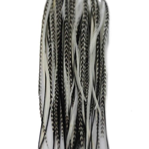 Feather Hair Extensions, 100% Real Rooster Feathers, Black and White Grizzly 5 Feathers Bonded at...