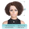 Fancy Hair Human Hair Wig Short Lace Front Wigs Kinky Curly Glueless Side Part Brazilian Virgin Human Hair Curly Bob Wigs with Baby Hair for Black Women (Brown,10 Inch)