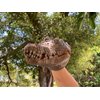 Gemini&Genius Crocodile Hand Puppet Toys Funny & Scared Alligator Head Puppets in Home, Stage and Class Role Play Toy for Kids and Toddlers