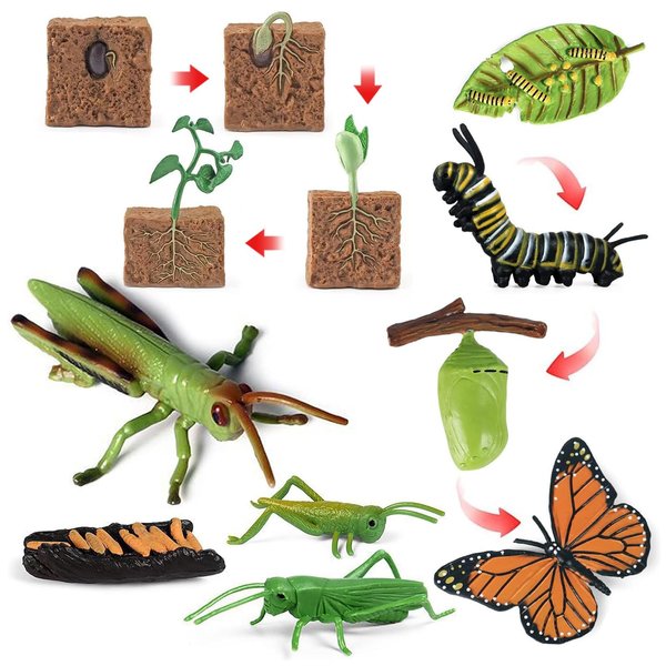 12PCS Life Cycle Figurines Toy Set of Butterflies Grasshoppers and Plants Figures Preschool Toys Kit Science and Educational Auxiliary Toys Cake Toppers Party Favors for Kids Toddlers Boys and Girs