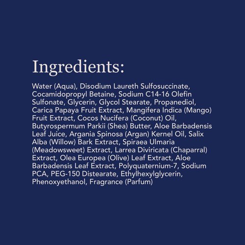 Spenser & Jensen Daily Moisturizing Body Wash with Hydrating Mango & Papaya - Gentle & Cleansing Body Soap - Sulfate & Paraben Free - 18 Oz (Pack of 1)