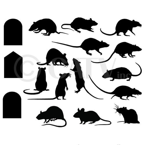 Rats Mice Doors Set of 17 vinyl lettering decal home decor wall art saying halloween